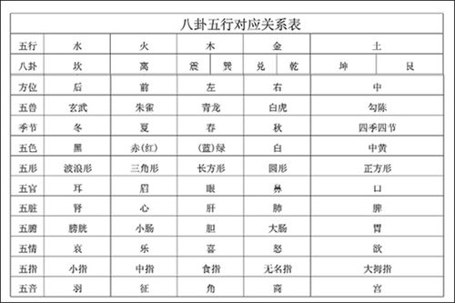 算卦中五行各掌管什么