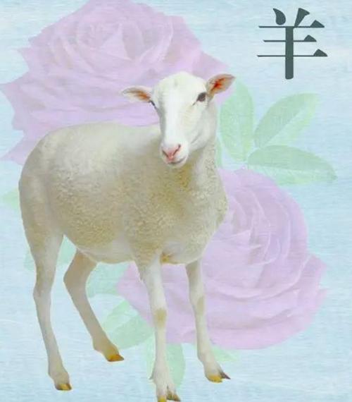 属兔女人2022年5月运势盘点