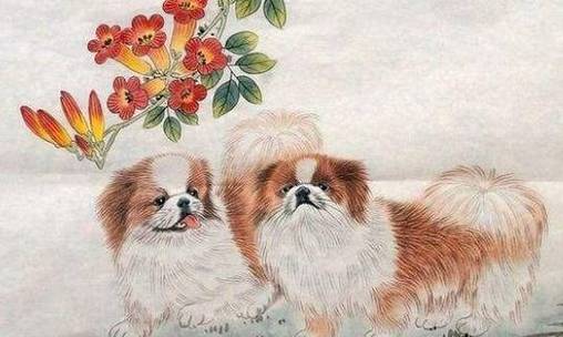 属狗人的事业运:摸着石头过河