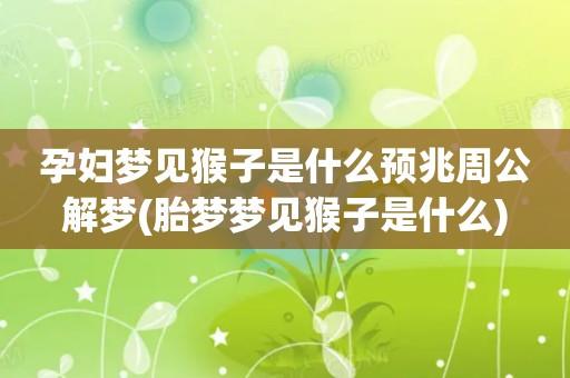 女人梦见猴子是什么预兆