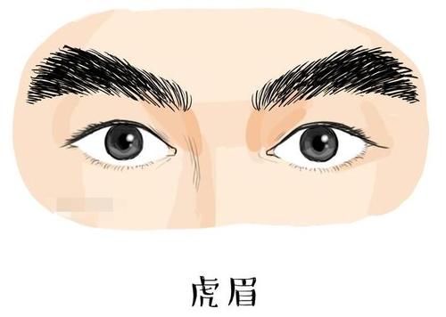 虎眉的男人命运会如何