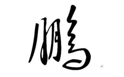 男孩带鹏的好名字