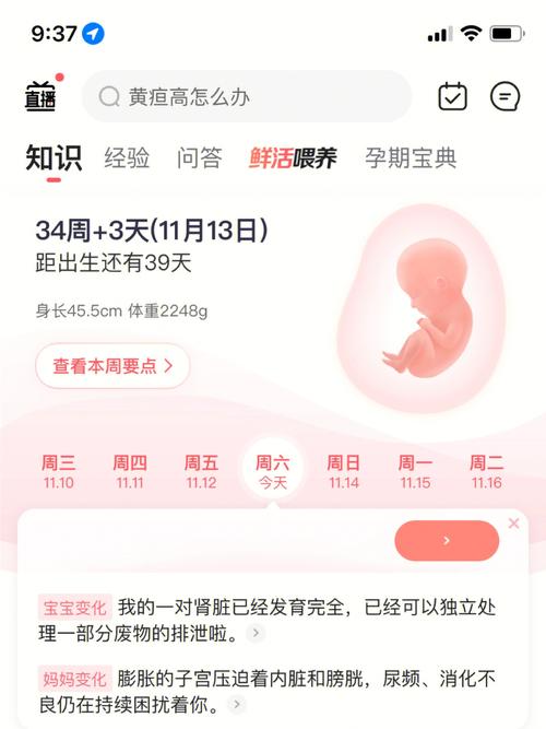 牛生虎宝宝好吗