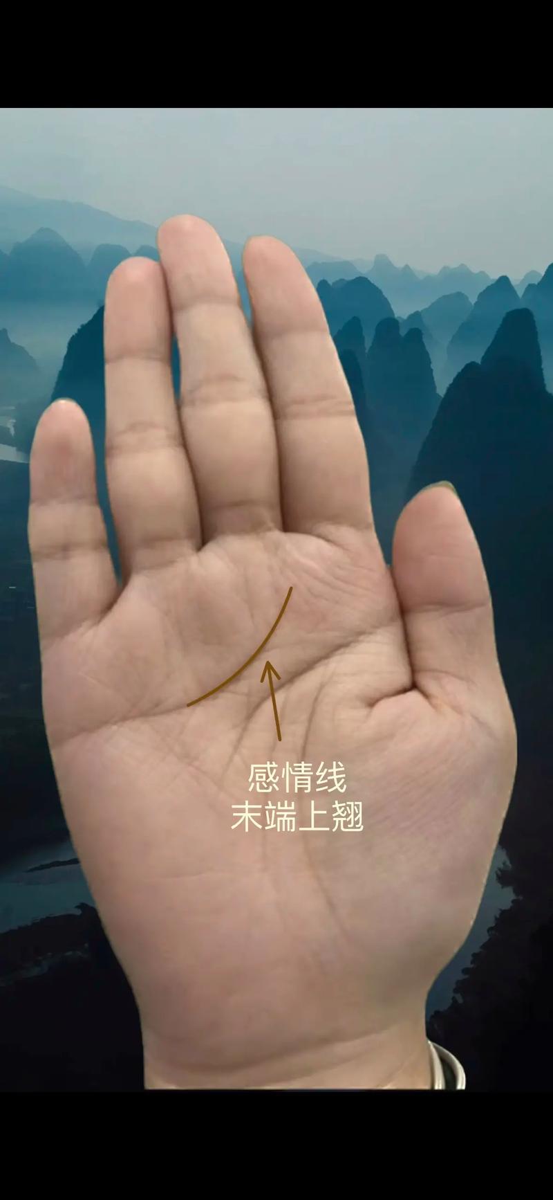 感情线上有横纹穿过的人命中注定会克子!