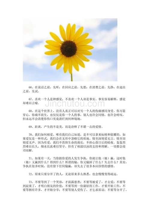 阳光正气的名字