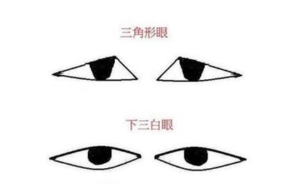 三角眼的面相 三角眼报复心重