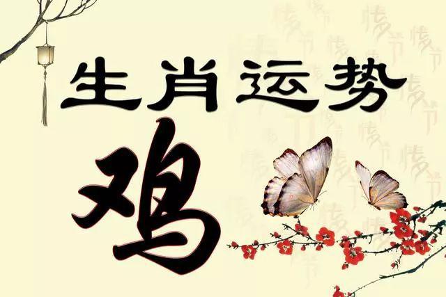属鸡的人一生财运如何?
