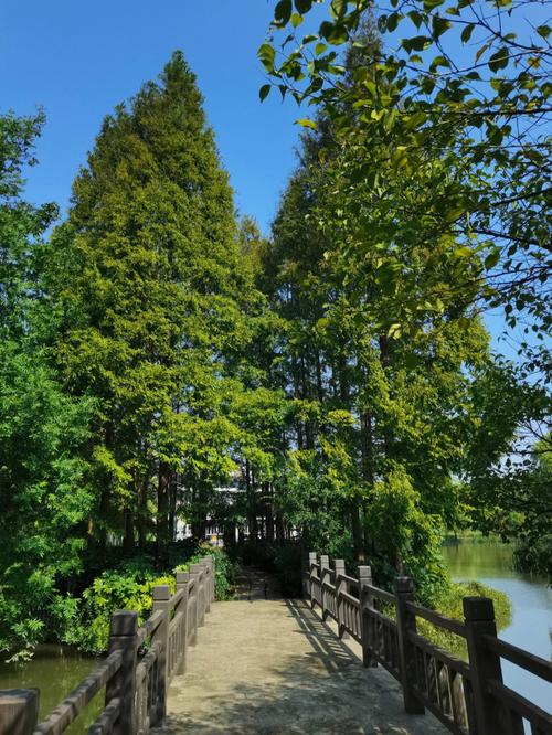 梦见郊外 郊野