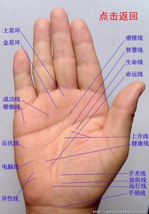 男性手相算命图解