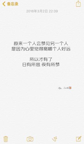 解释日有所思夜有所梦