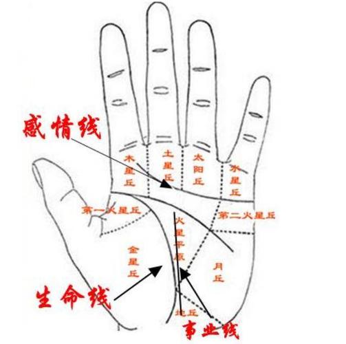 手心三角纹图解