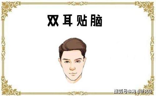 辰时出生男人又双耳贴脑命运怎样