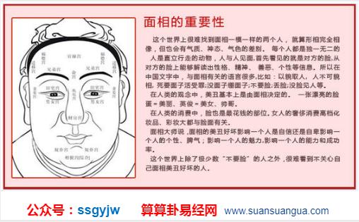 男人面相看婚姻持续时间,你们能白头偕老吗?