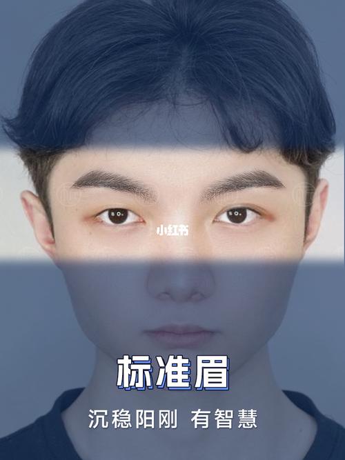 男人眉毛的种类及性格
