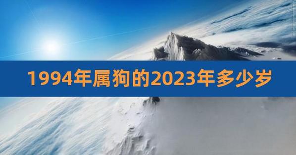 1994年属狗人2023年运势及运程