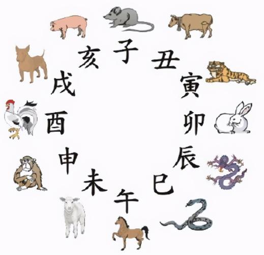 十二生肖为什么其他动物没有参加?