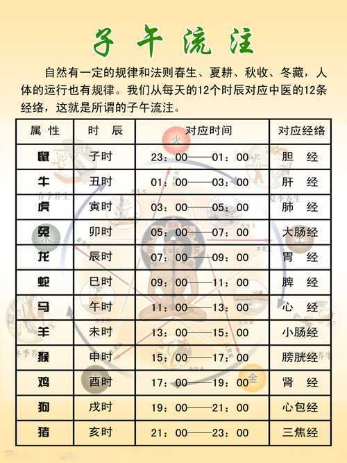 1961是什么命_1961年属相查询表