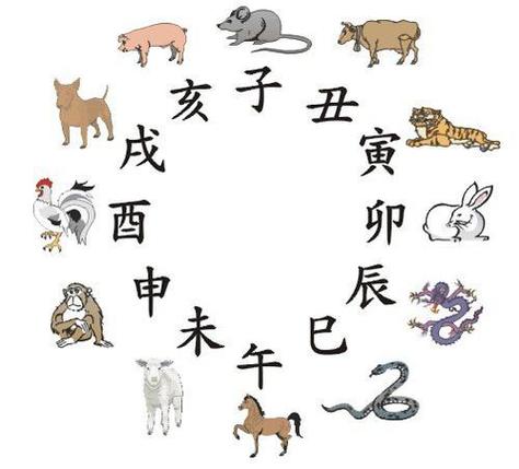 剖析那些思维方式异于常人的生肖属相
