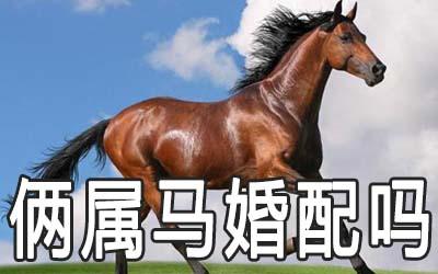 属马的人会喜欢什么样的婚礼呢?