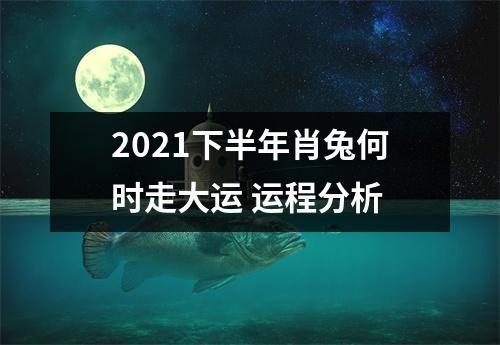 2021下半年肖兔何时走大运?运程分析