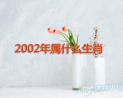 2002年出生的人属什么