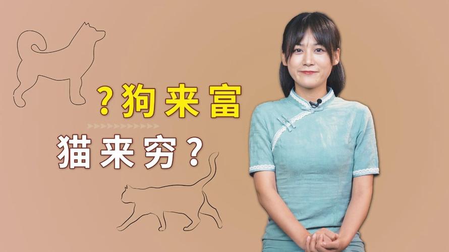 俗话说的:猫来穷狗来富是真的吗