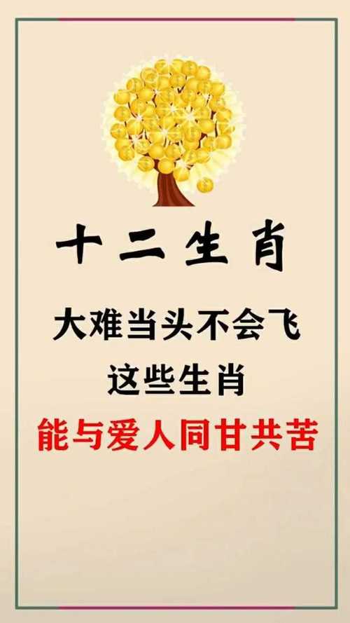 不将爱人当成自己的全世界的生肖大全