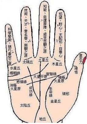 手相解读:什么样的手有福气