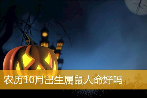 2020年10月8日出生的人命好吗
