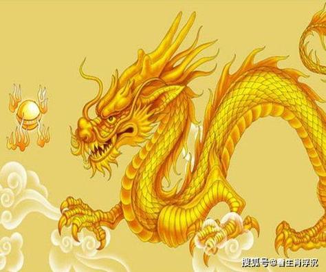 属龙对于在朋友圈晒照片的看法