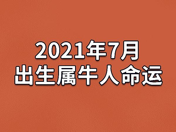 2021年出生的金牛之人命运