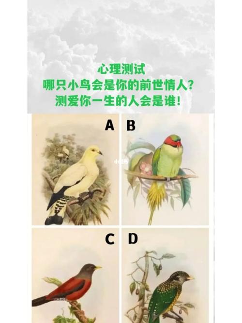 测一测你会选择什么样的人过一生