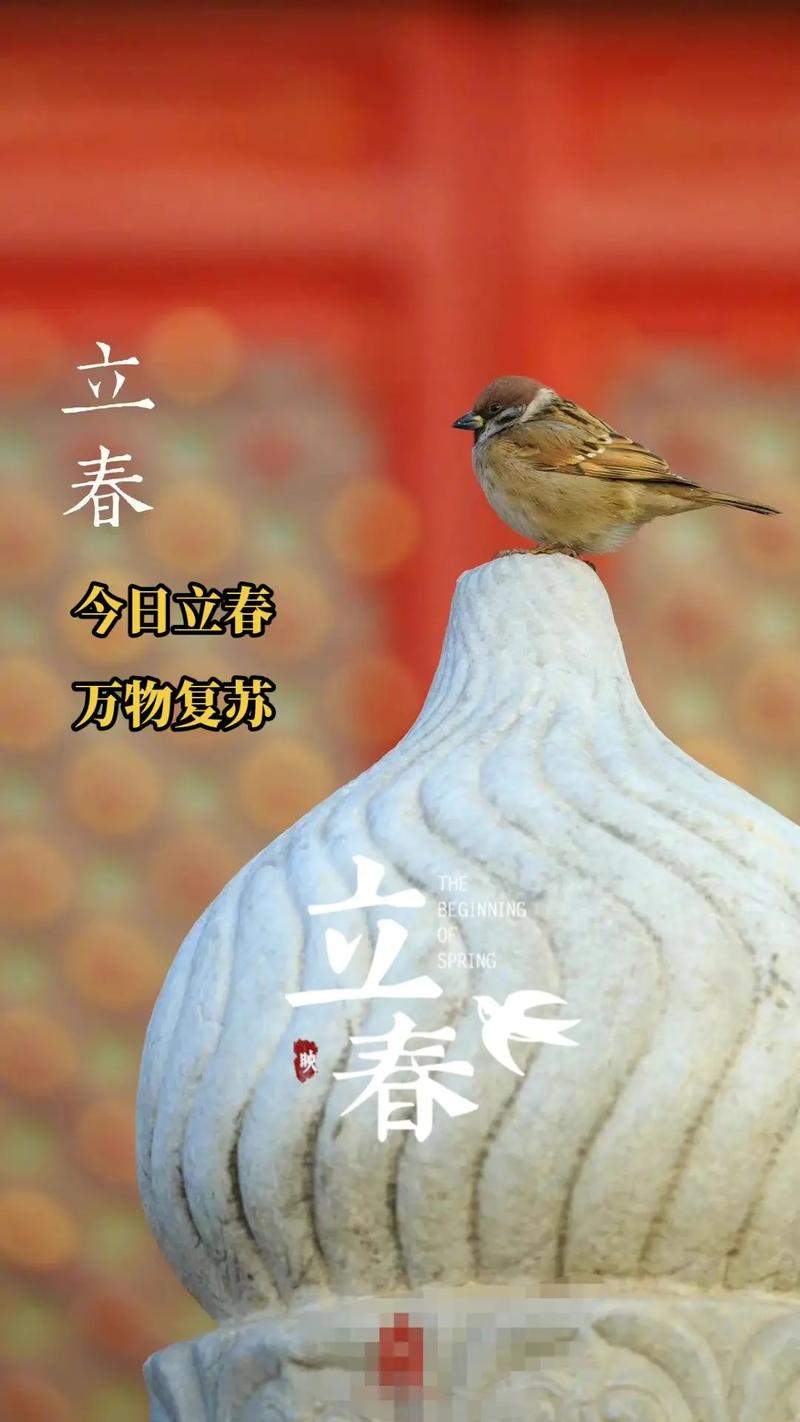 2023年立春后才是兔年吗