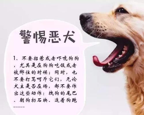 梦见狗咬我狗死了是什么意思