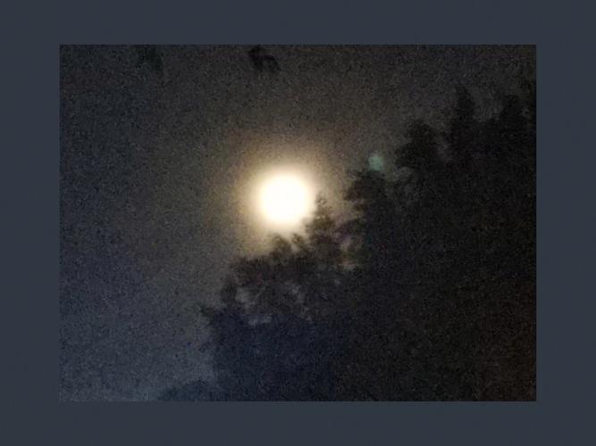 梦见夜晚、黑夜,梦见有月光的夜晚