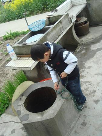 梦见井里打水浇树