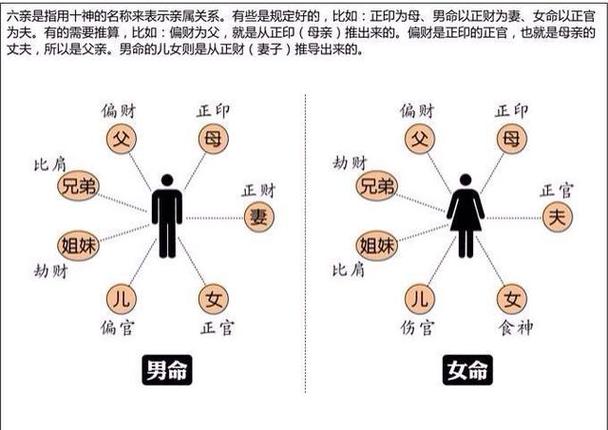 八字中什么代表男的子女