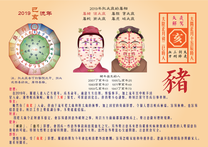 网上算命流年运程可信么
