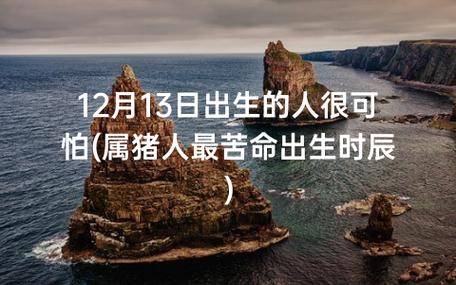 属猪人最苦命出生时辰
