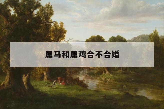 属鸡跟属马的结婚好不好