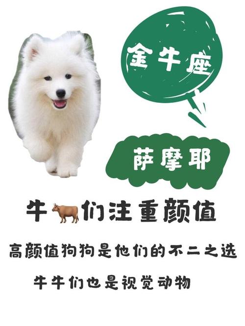 属狗白羊座的性格