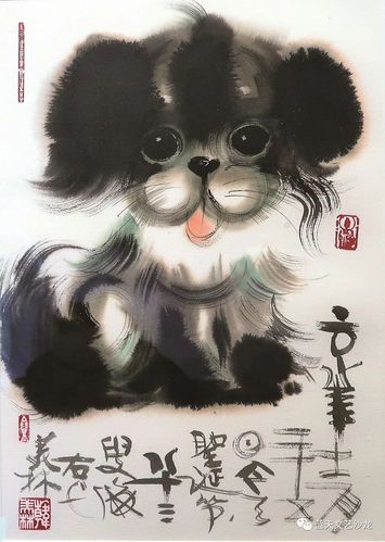 抓住12生肖先生的心