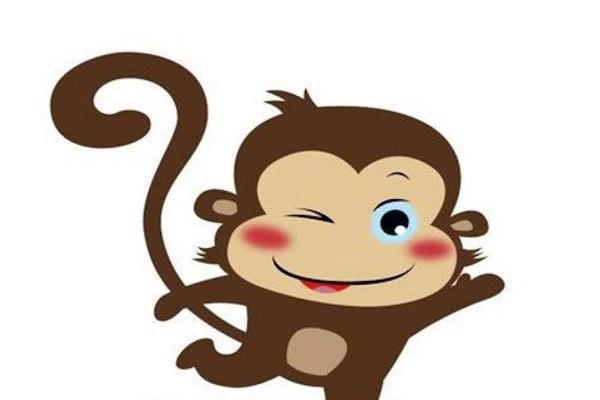 属猴恋情会因毕业季而支离破碎吗