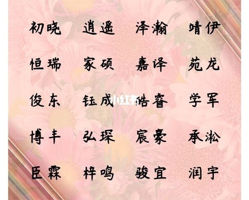 属兔的汪姓女宝宝名字
