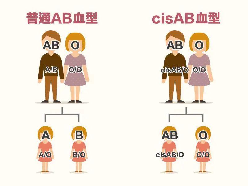 AB型血君开会如何打发时间
