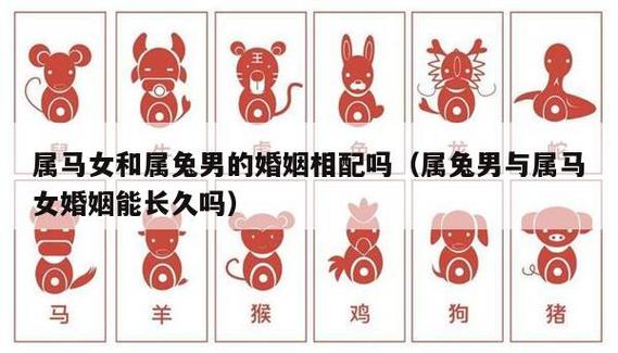 属马和属兔谁克谁严重,兔和马相克吗