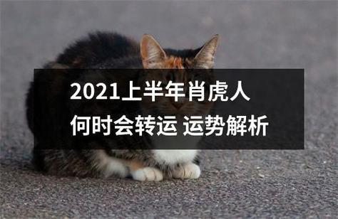 2021上半年肖虎人何时会转运