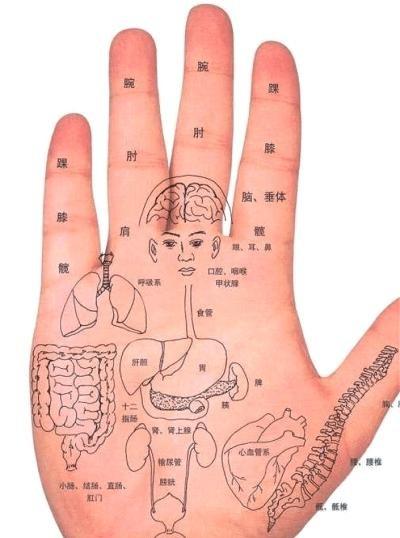 教你看手相了解宝宝健康状况