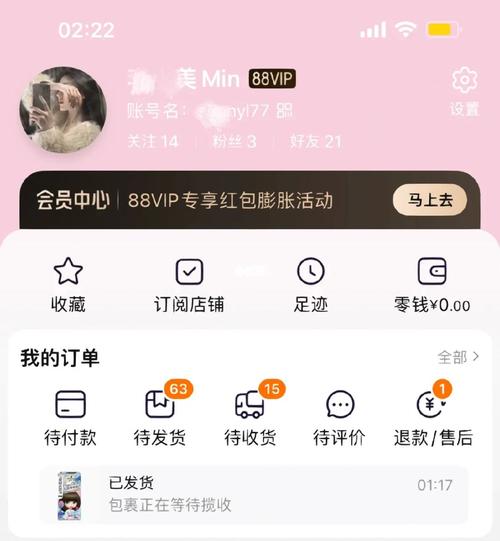 双11老公付款只管买买买的星女