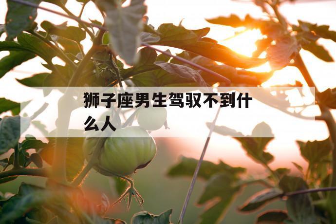狮子男驾驭不了的星座